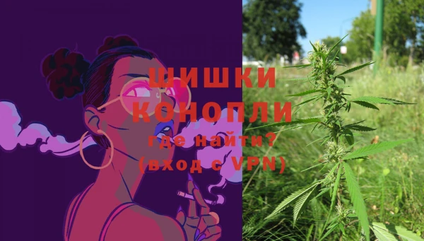 PSILOCYBIN Арсеньев