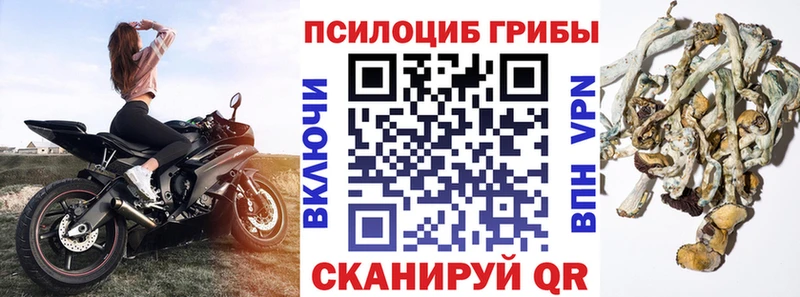 Галлюциногенные грибы прущие грибы  Купить закладки  Томилино 